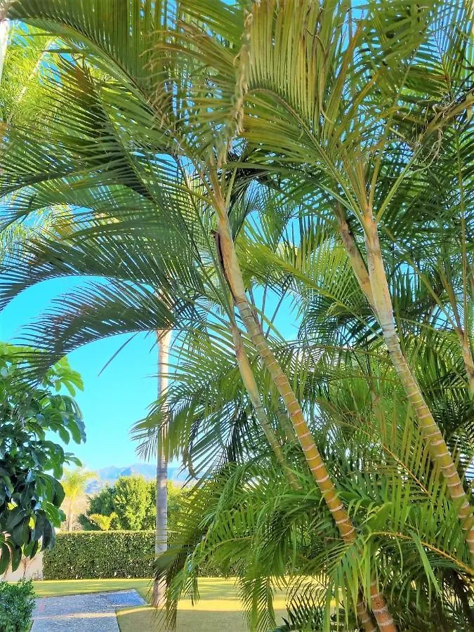 Breathtaking Apartment, Paradise Palm View Marbella Estepona Spain